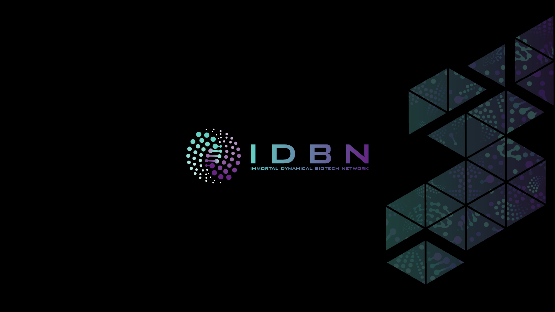 IDBN Logo